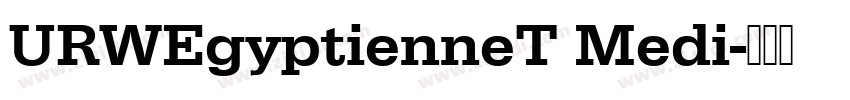 URWEgyptienneT Medi字体转换 URWEgyptienneT Medi字体转换